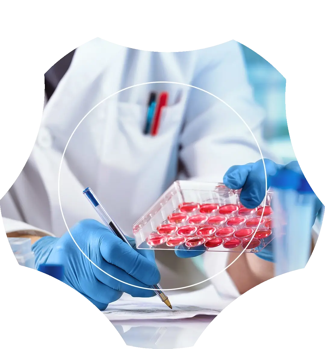 Laboratory researcher in blue gloves documenting findings while holding a multiwell cell culture plate, framed inside a custom geometric shield cutout.